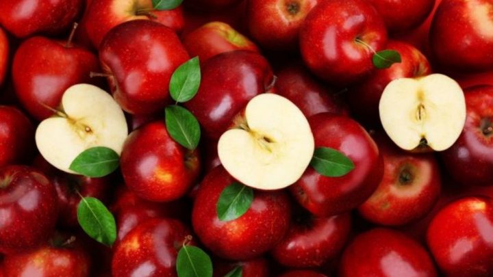 Se pueden reducir las pérdidas en pos-cosecha de manzanas y remolacha azucarera