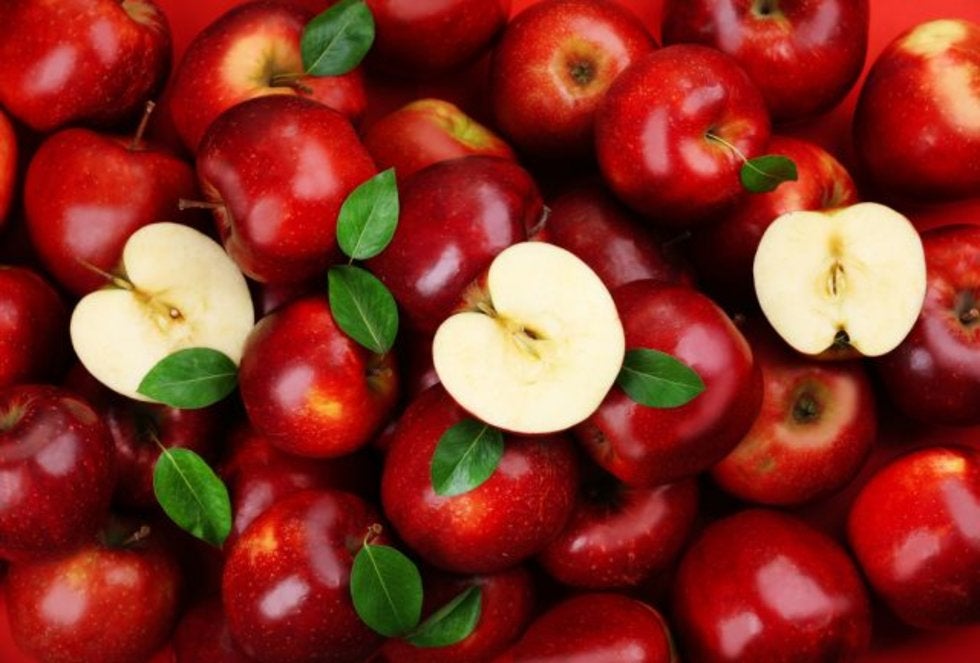 Se pueden reducir las pérdidas en pos-cosecha de manzanas y remolacha azucarera