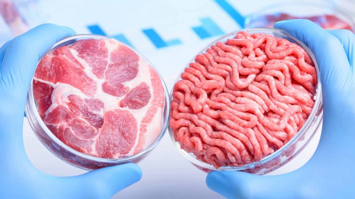 ¿Estamos listos para comer carne cultivada en laboratorio?